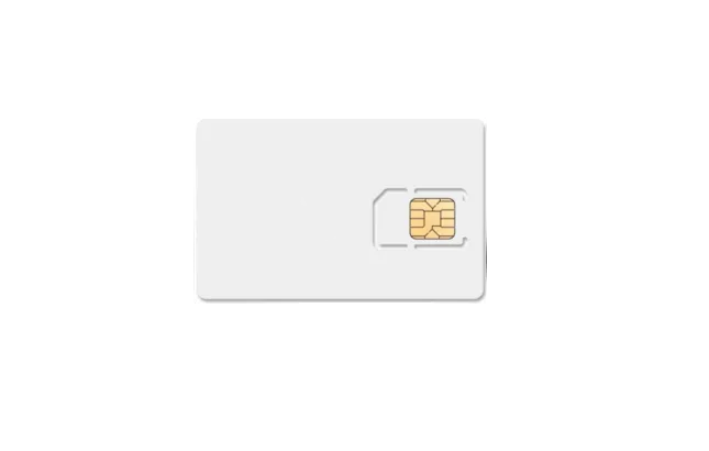 SIM-only data connectivity – 12 months